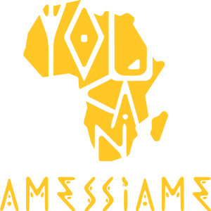 Amessiame restaurant africain à Lyon
